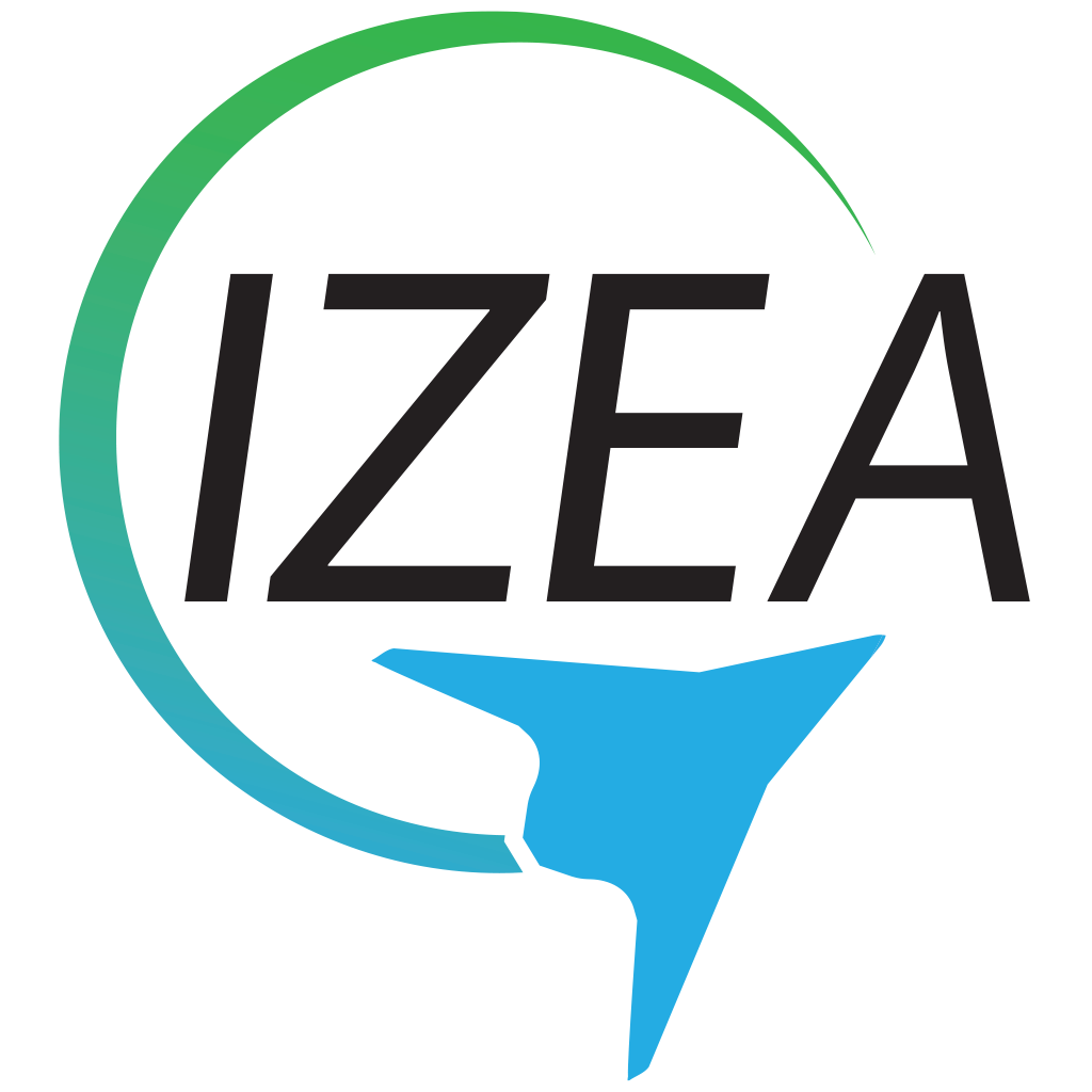 About Integrated Zero Emission Aviation